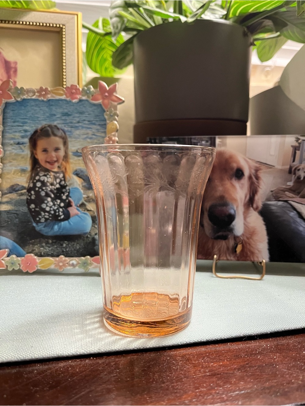 Vintage Pink Cherry depression glass flat tumbler.